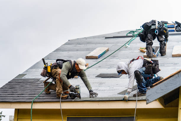 Professional Gutter Installation technician working in Colusa, CA
